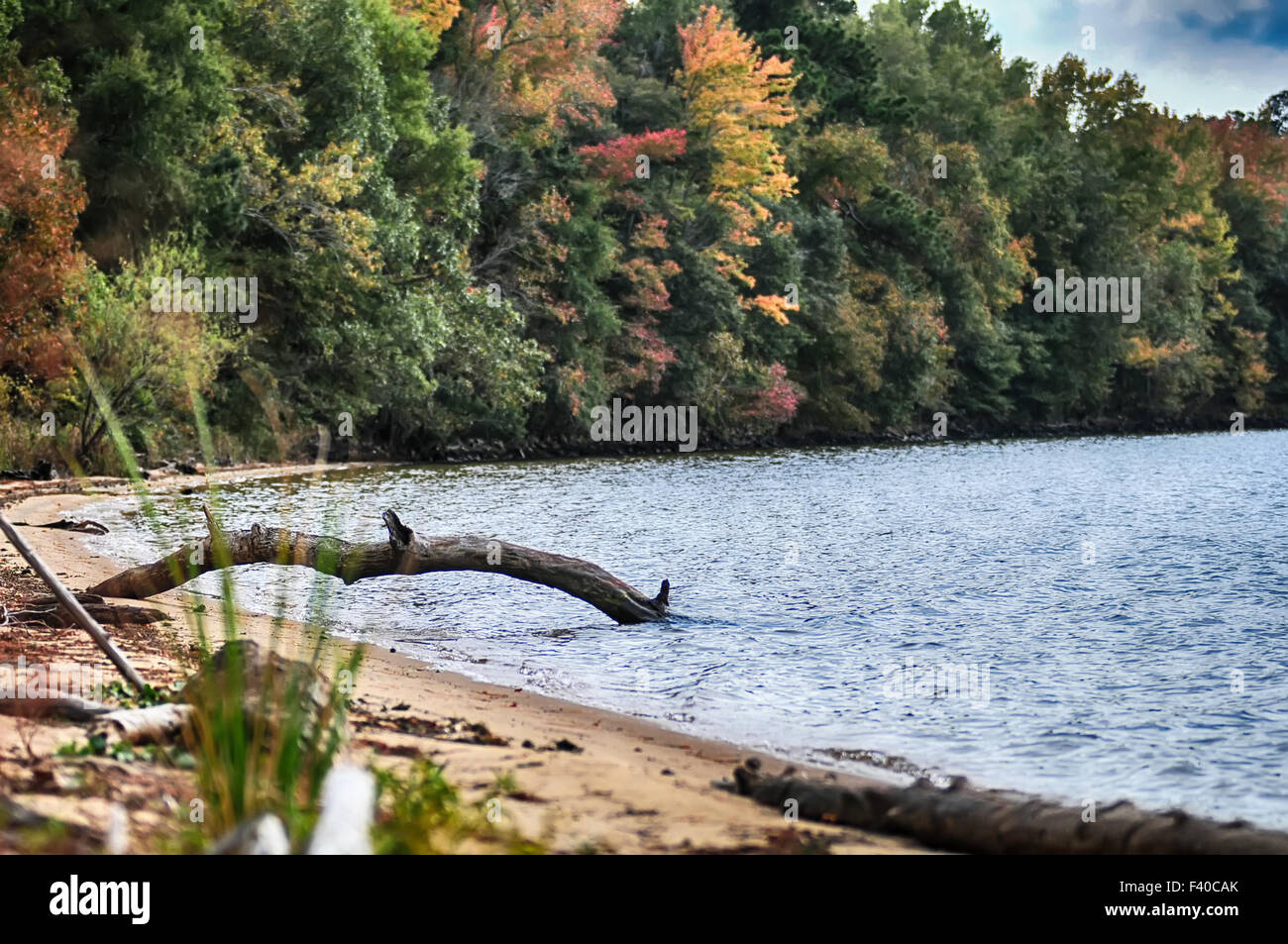 Santee south carolina hi-res stock photography and images - Alamy