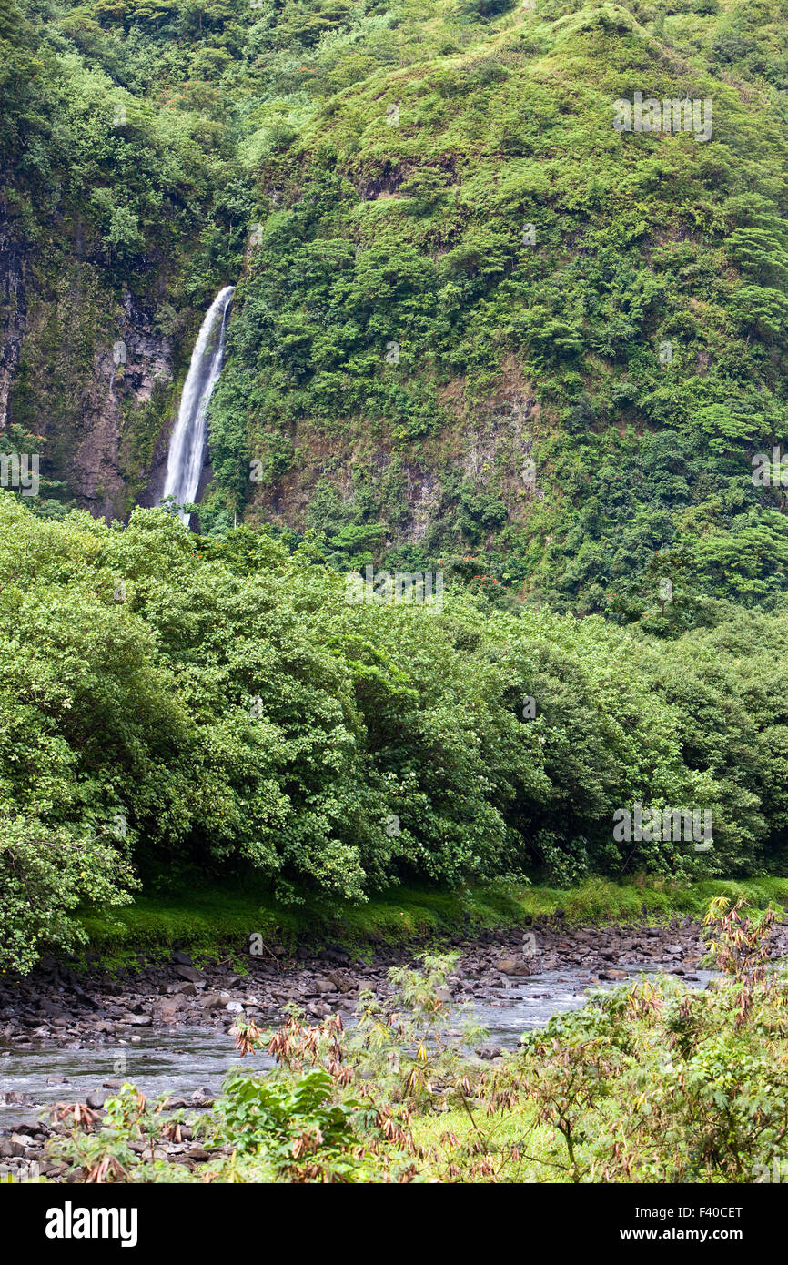 Tahiti. Mountain river and fall Stock Photo