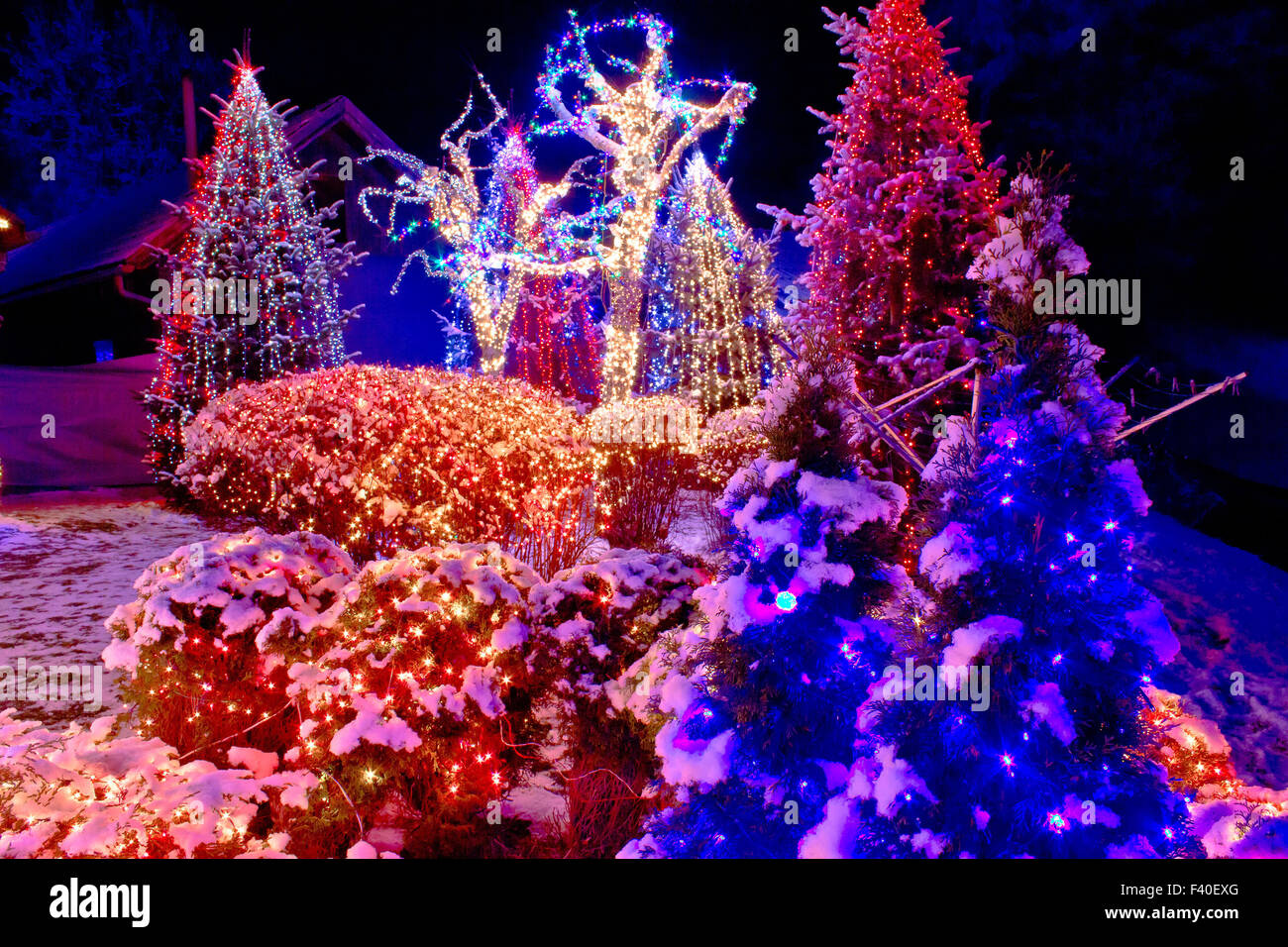 Christmas lights in the park Stock Photo Alamy