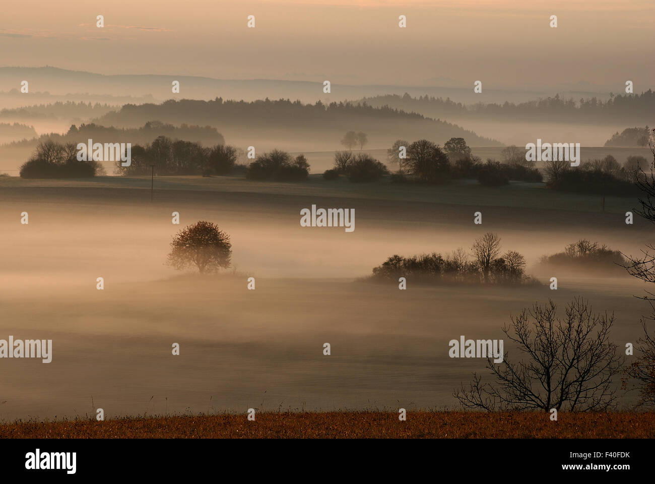 fog; landscape; morning light; mood; Stock Photo