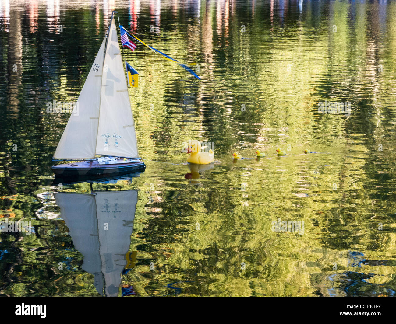 Remote Control Sailboat, Conservatory Water in Central Park, New York City Stock Photo
