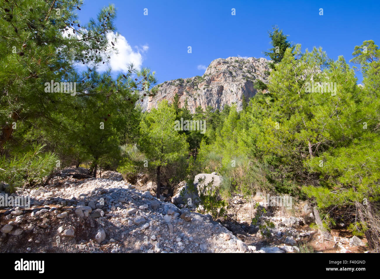 soothing mountain summer wonderful view Stock Photo