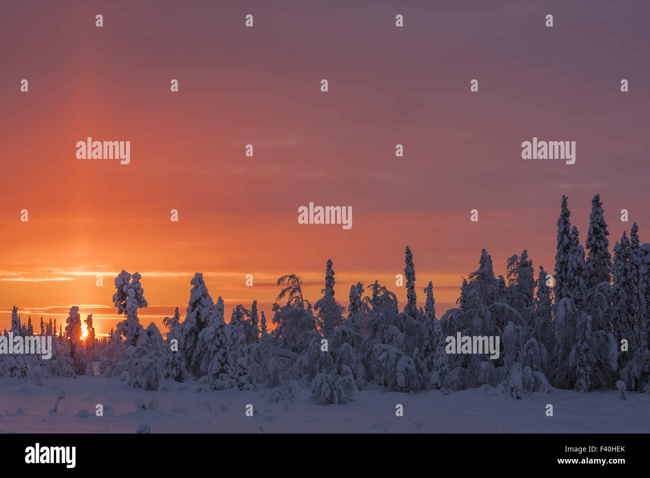 winter solstice, Muddus NP, Lapland, Sweden Stock Photo