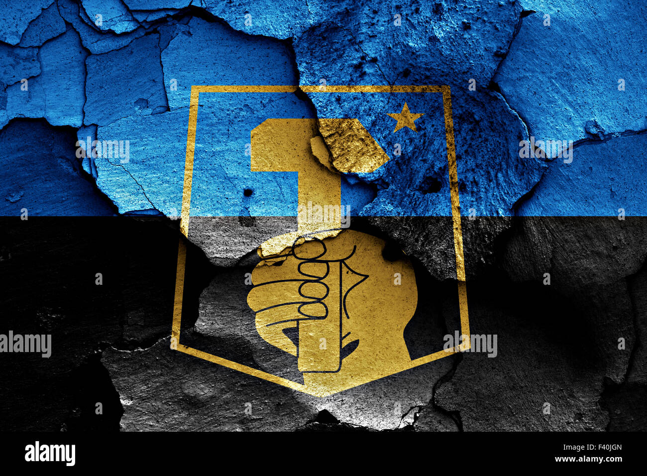 flag of Donetsk painted on cracked wall Stock Photo