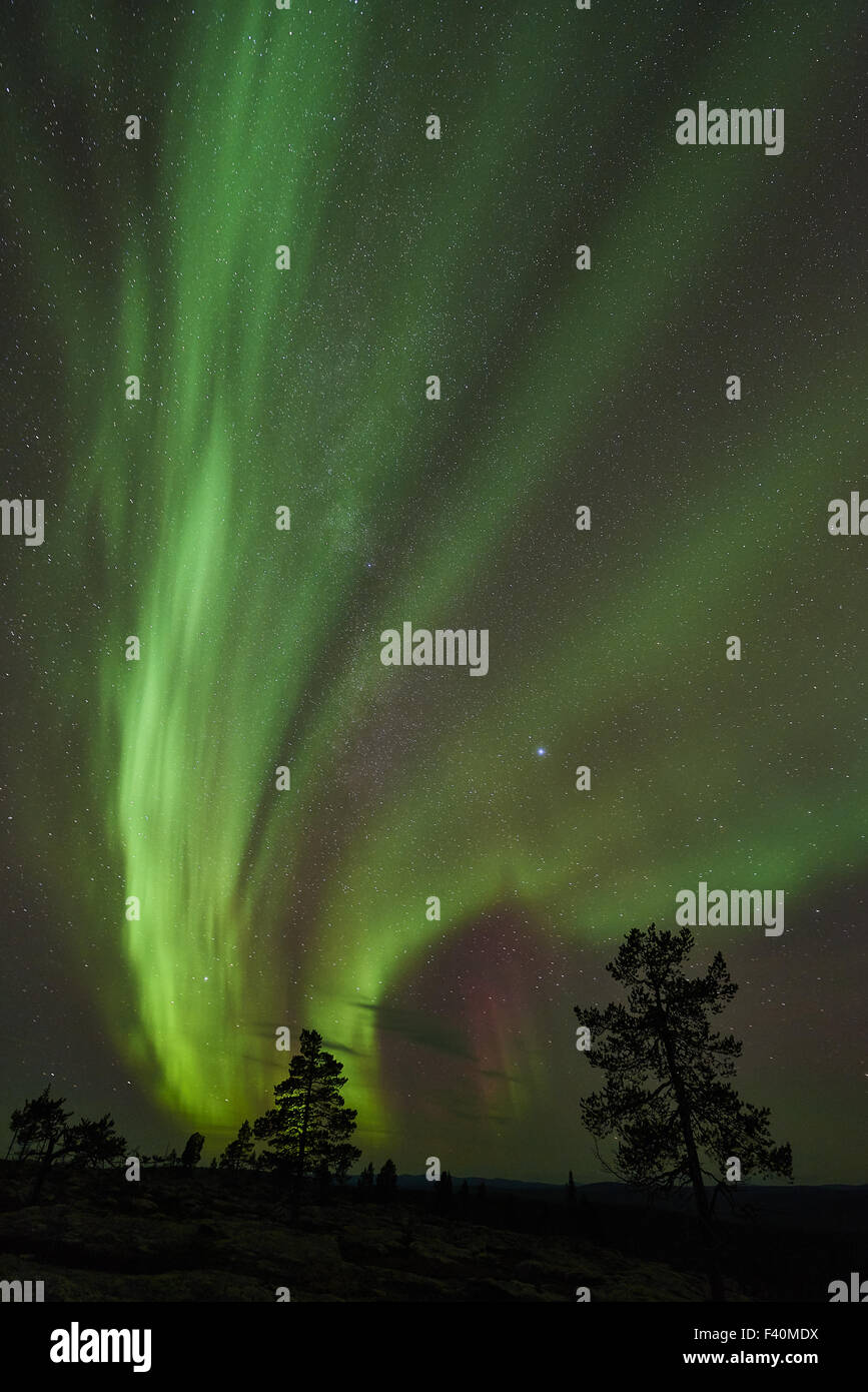 Northern lights, Lapland, Sweden Stock Photo