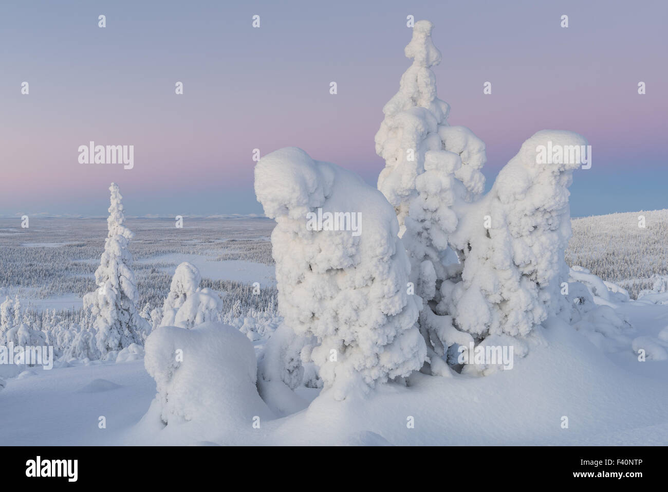 winter landscape, Lapland, Sweden Stock Photo