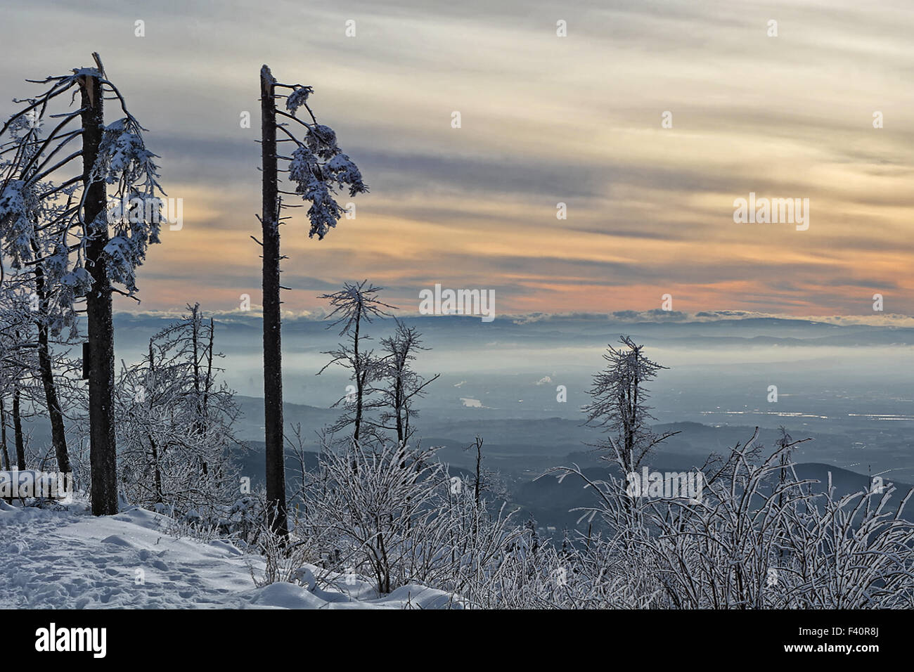 Rhinr Rift Valley Rhine rift valley hi-res stock photography and images - Alamy