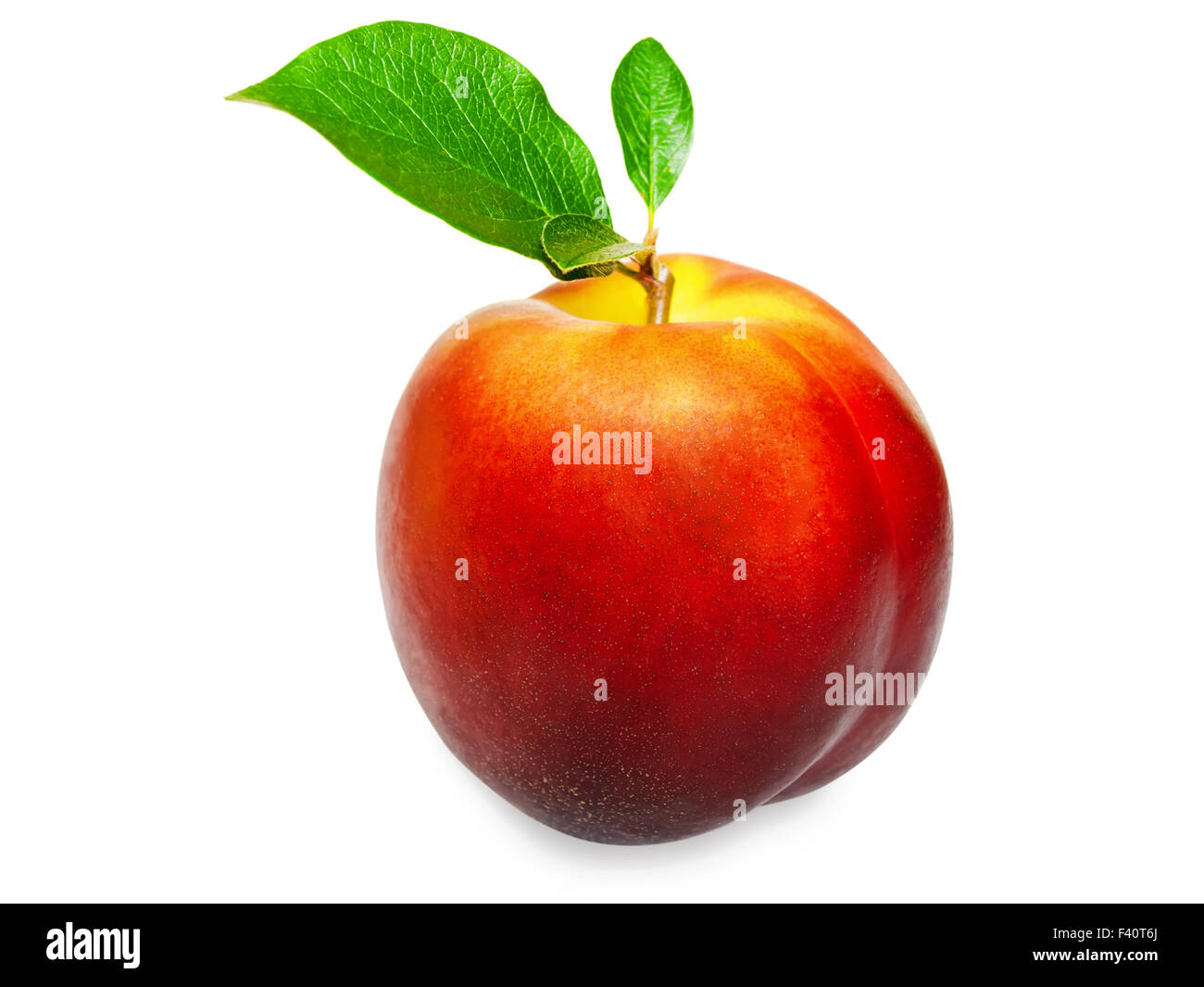 Apple, Bread and Wheat, Human food,Pineapple Juice, World Food,Apple