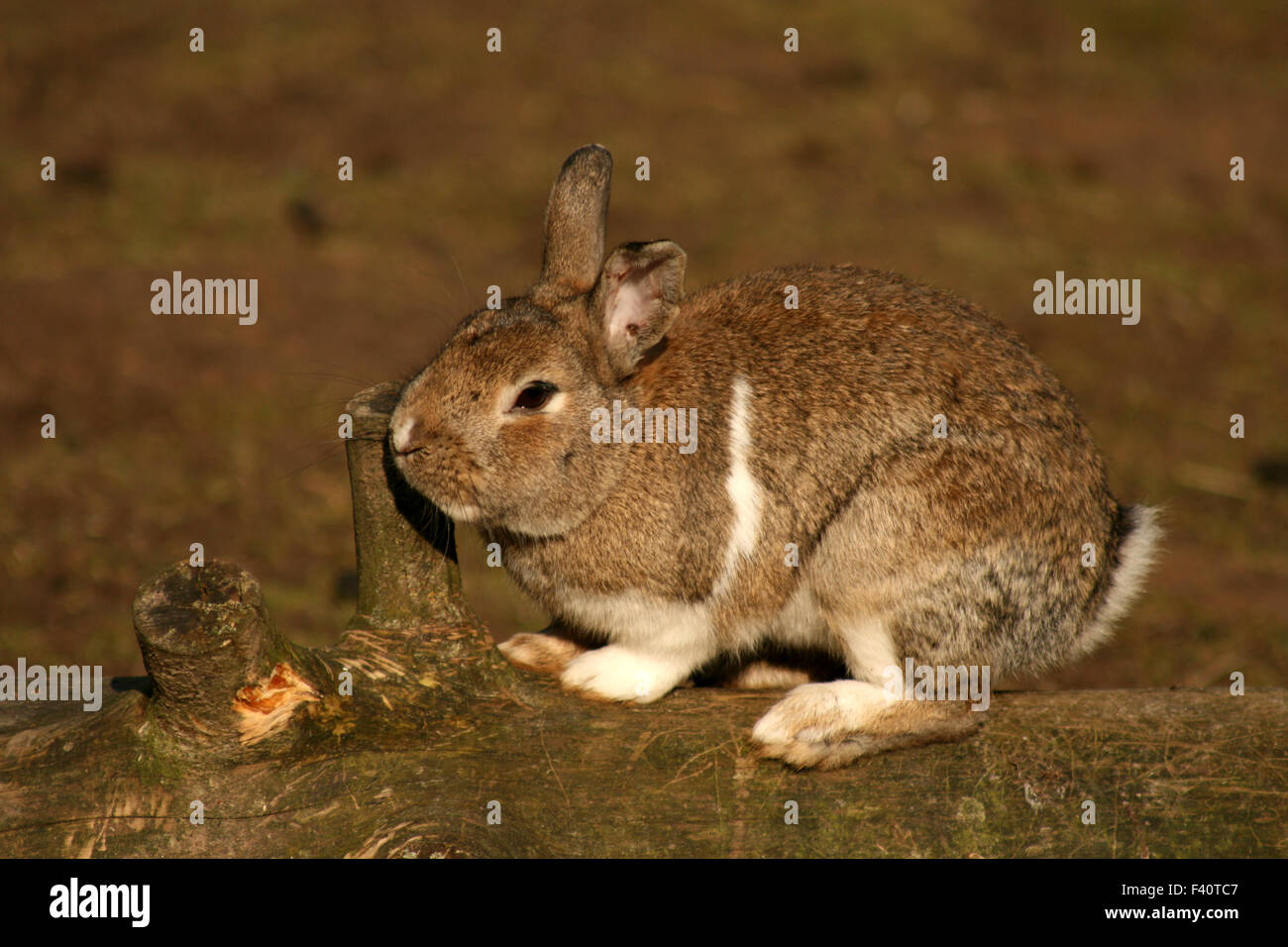 Jucken hi-res stock photography and images - Alamy