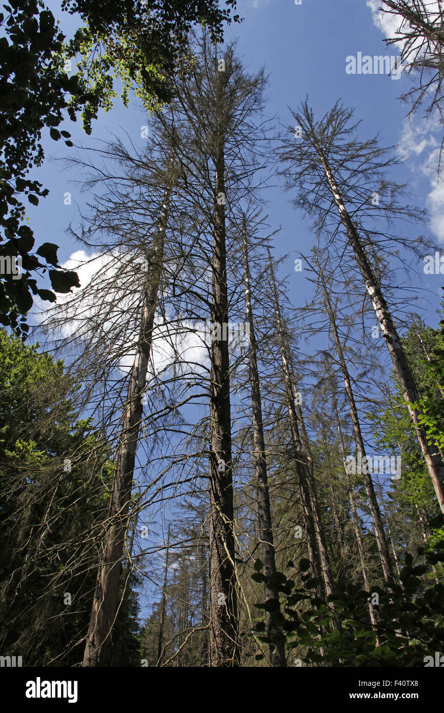 Decline hi-res stock photography and images - Alamy