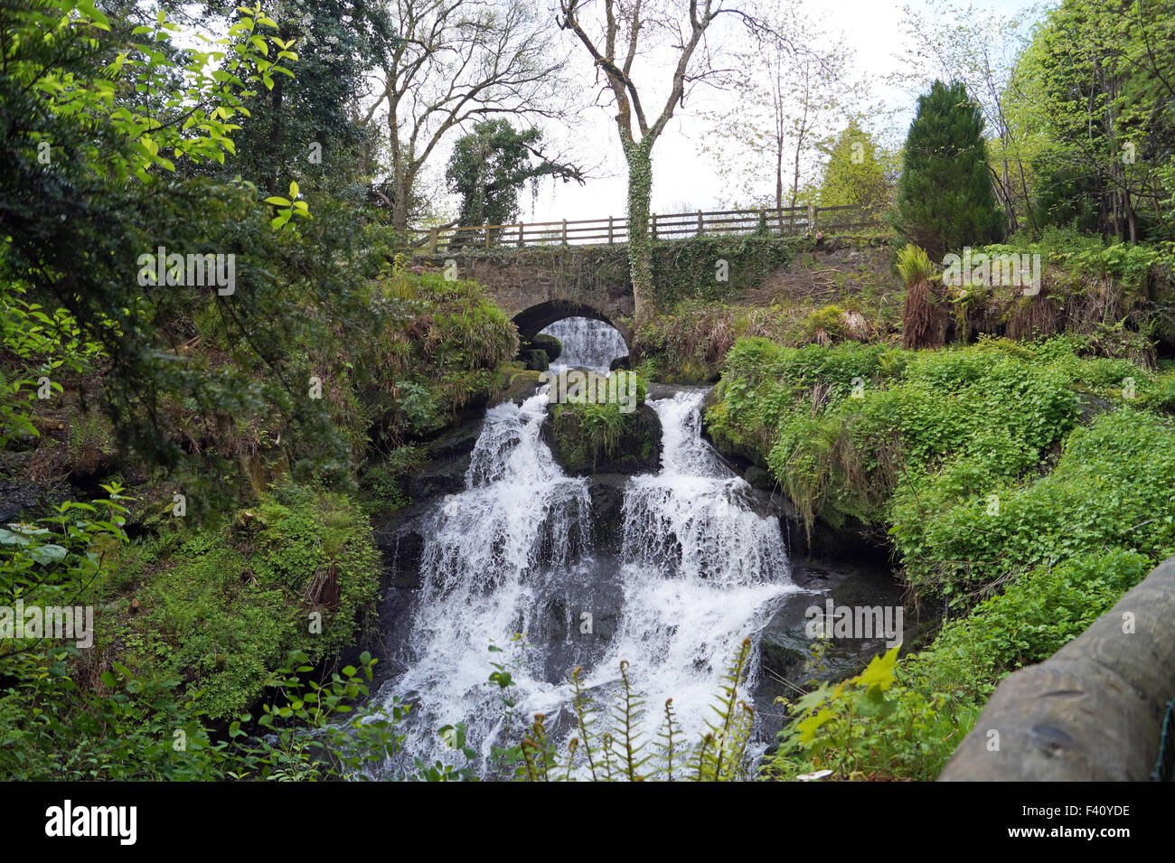 Flowing Waterfall at Rouken Glen Park like a Fairy Tale, Water going under bridge and flowing down stones Stock Photo