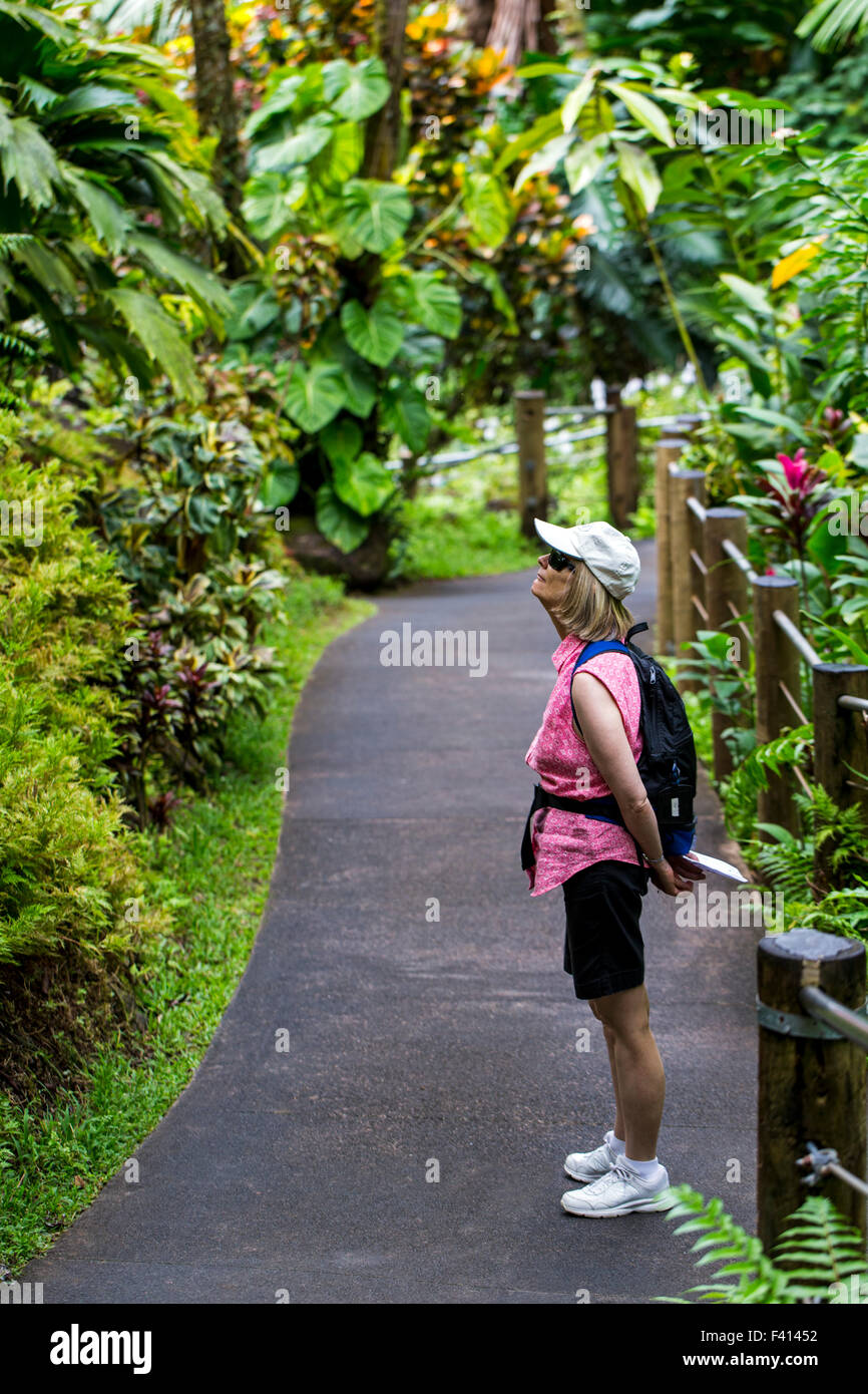 Female tourist, Hawai'i Tropical Botanical Garden Nature Preserve; Big Island, Hawaii, USA Stock Photo