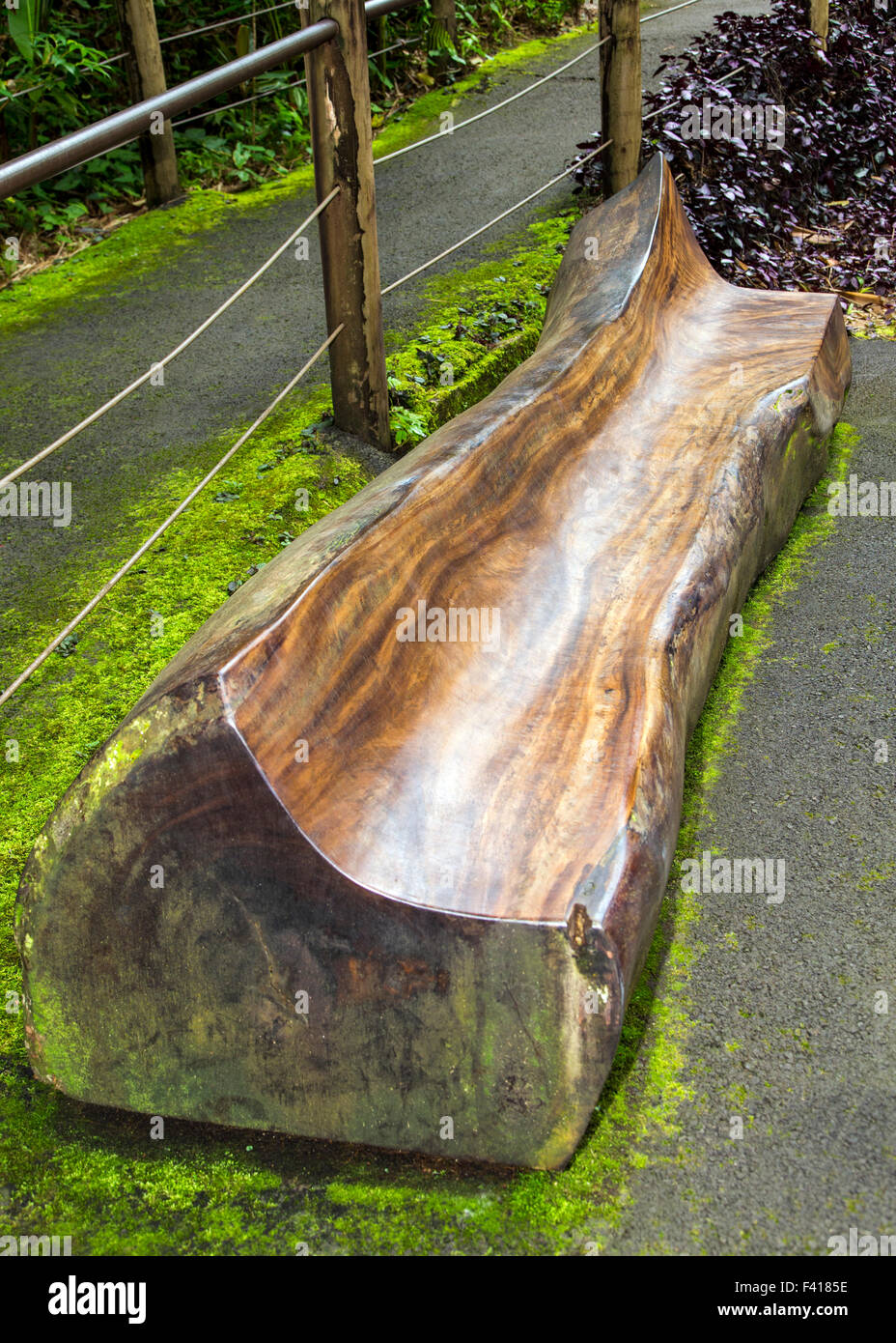Hand carved wooden bench, Hawai'i Tropical Botanical Garden Nature Preserve; Big Island, Hawaii, USA Stock Photo