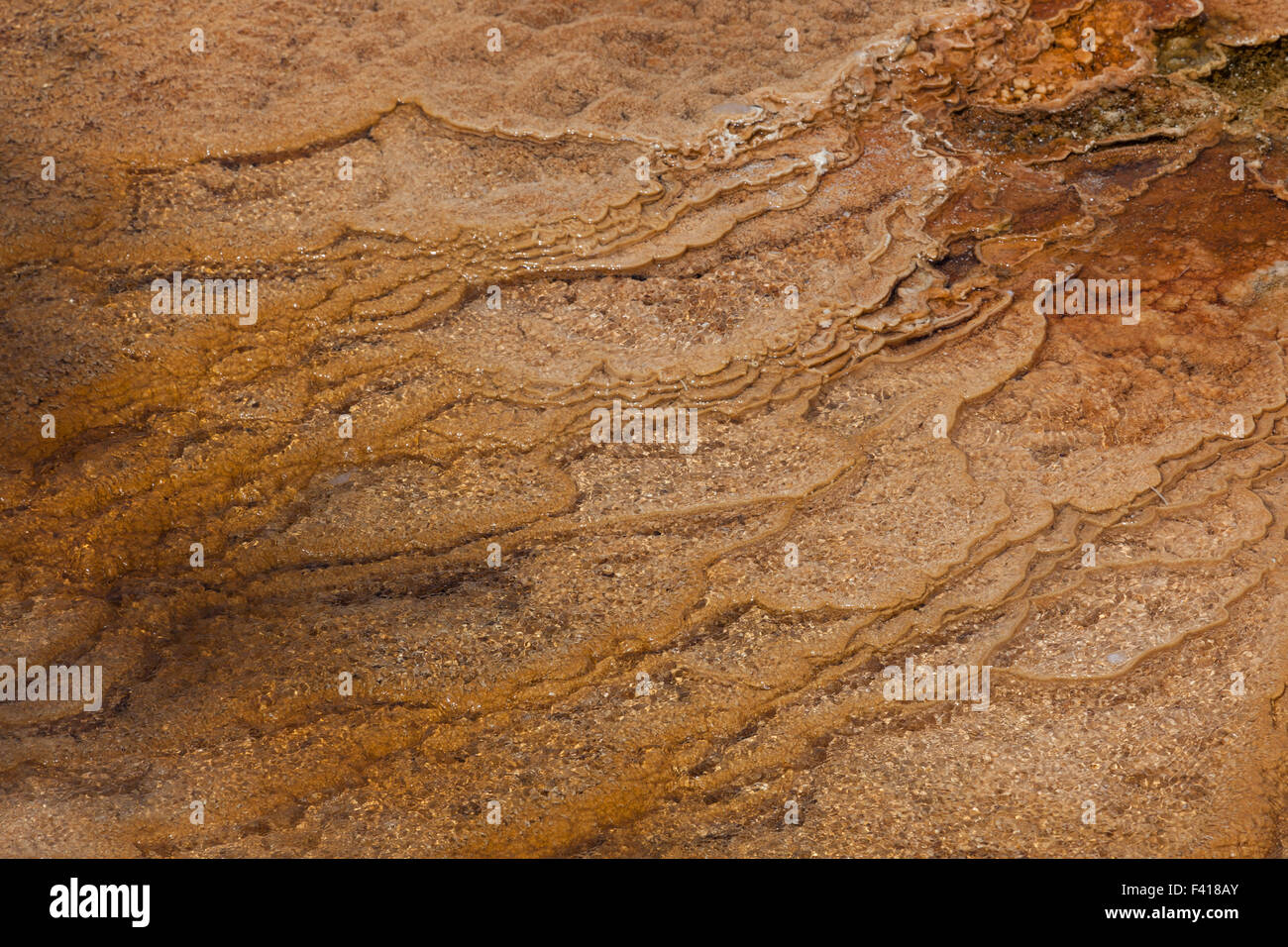 Colorful bacteria growing in terraced layers of hot water as a