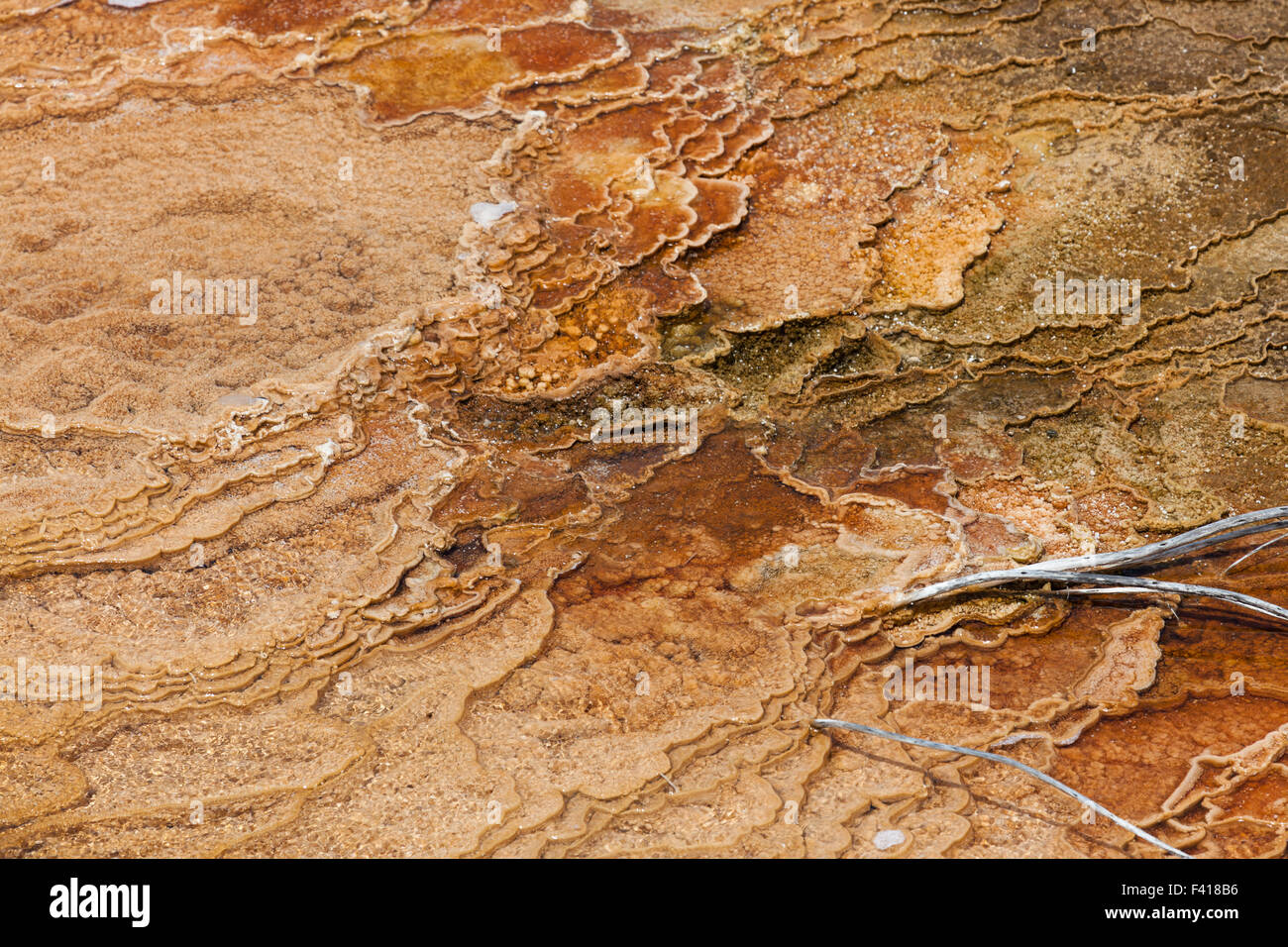 Colorful bacteria growing in terraced layers of hot water as a