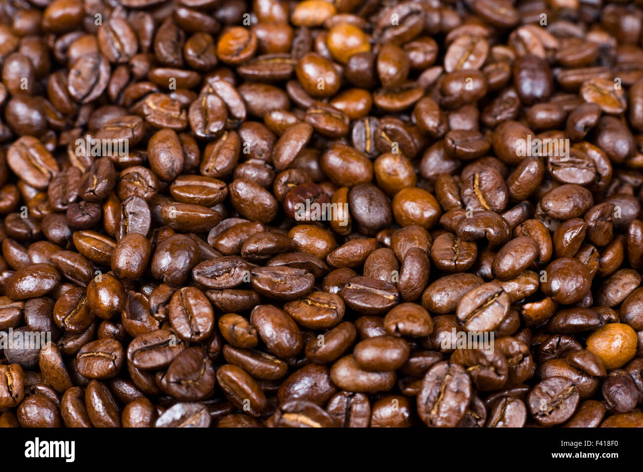 many coffee beans background Stock Photo