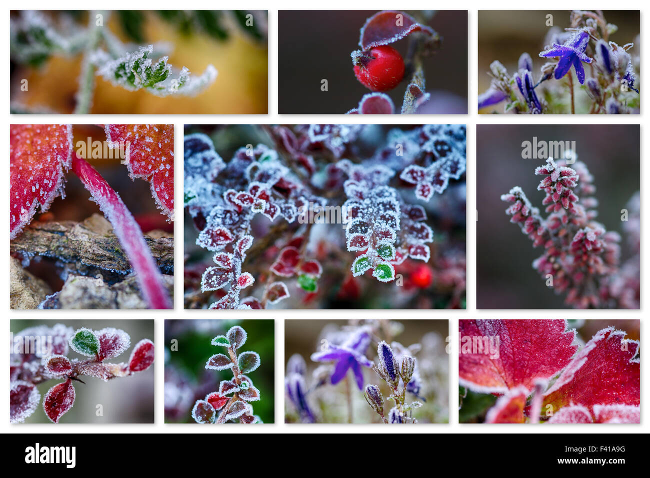 Icy nature collage Stock Photo