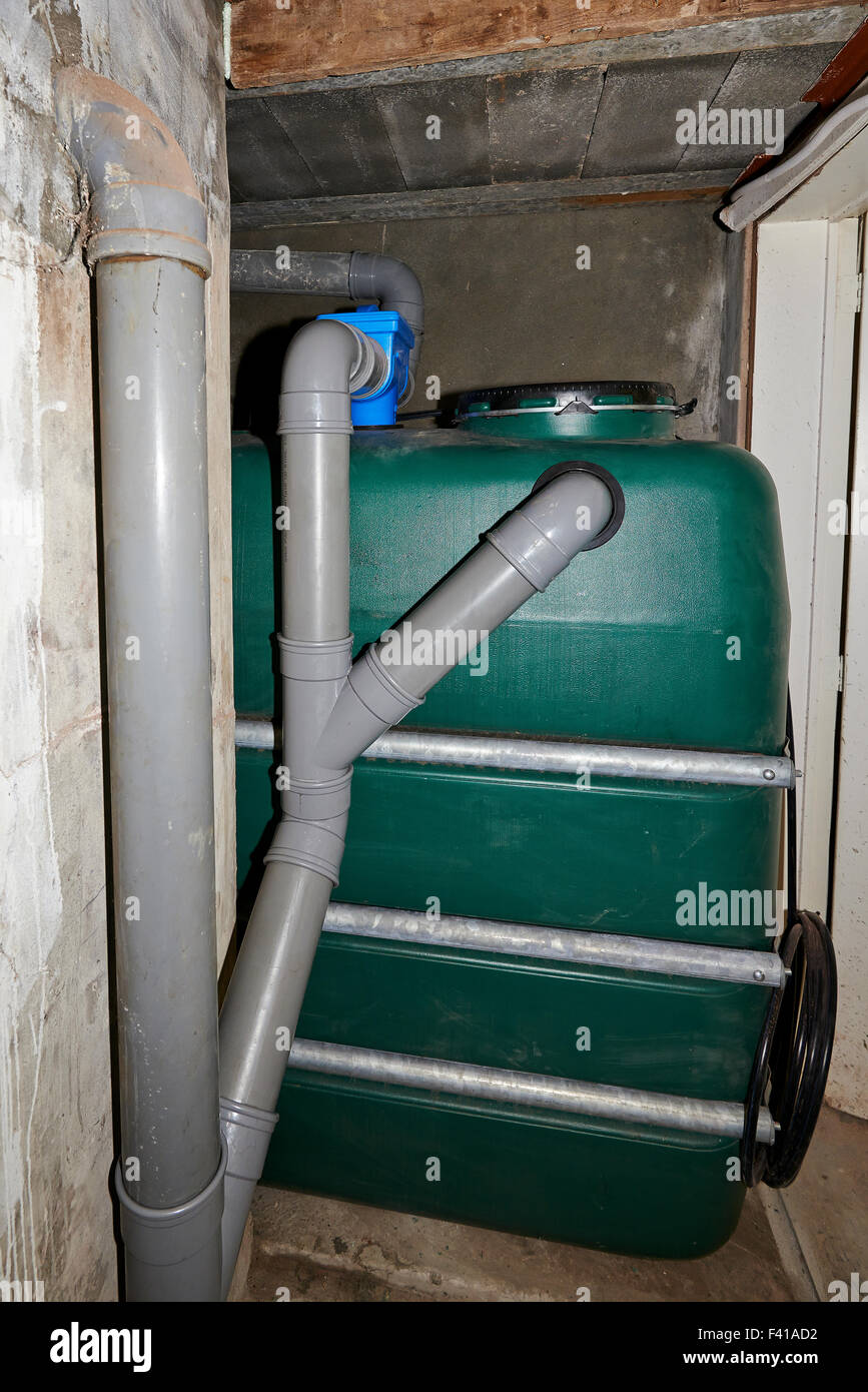 Installing of a New green water tank in the cellar of a house Stock