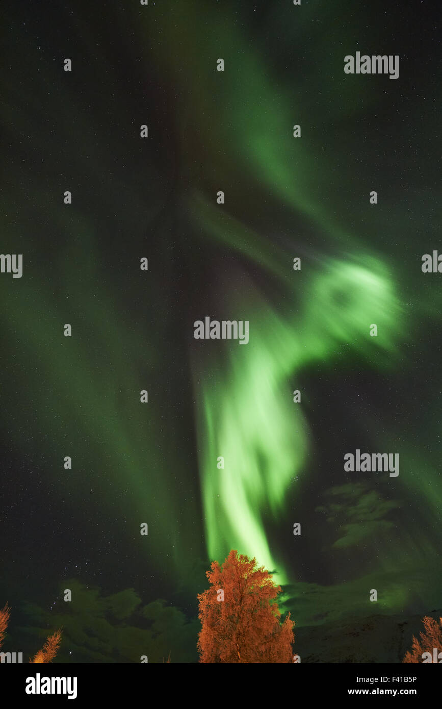 Northern lights, Abisko, Lapland, Sweden Stock Photo