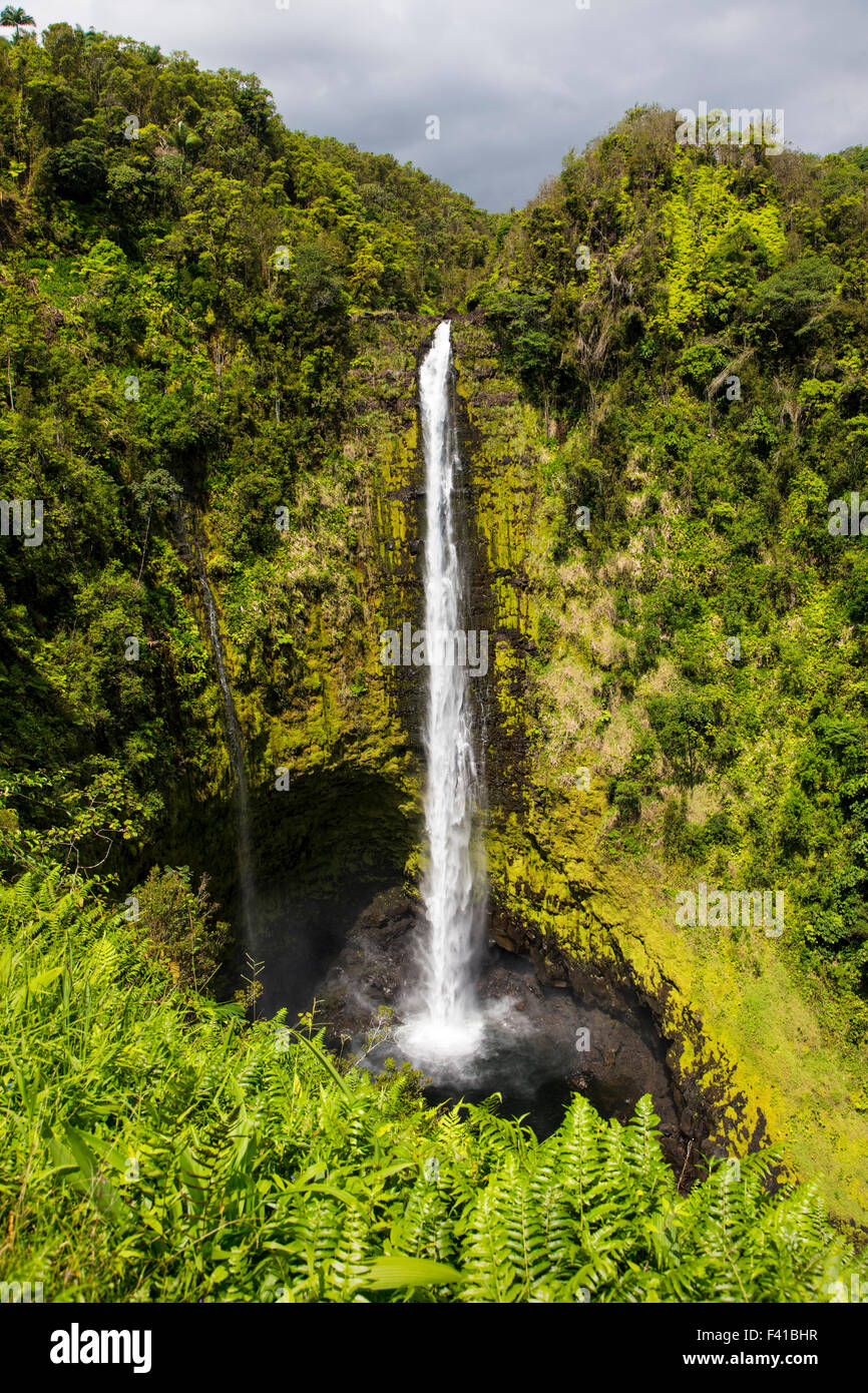 Kolekole Stream, ʻAkaka Falls, ʻAkaka Falls State Park, 422 feet (129 m ...