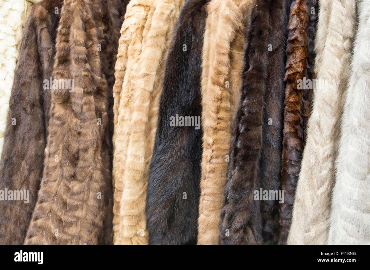 Women's fur coats on display of different colors aligned forming a background Stock Photo