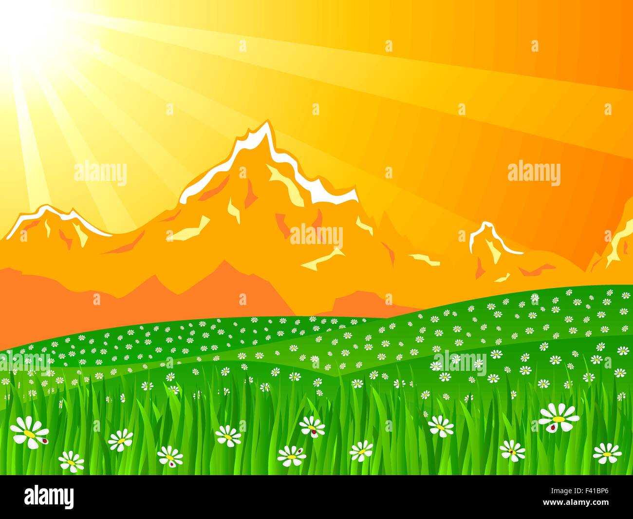 Beautiful rural landscape view. Vector illustration Stock Vector Image ...