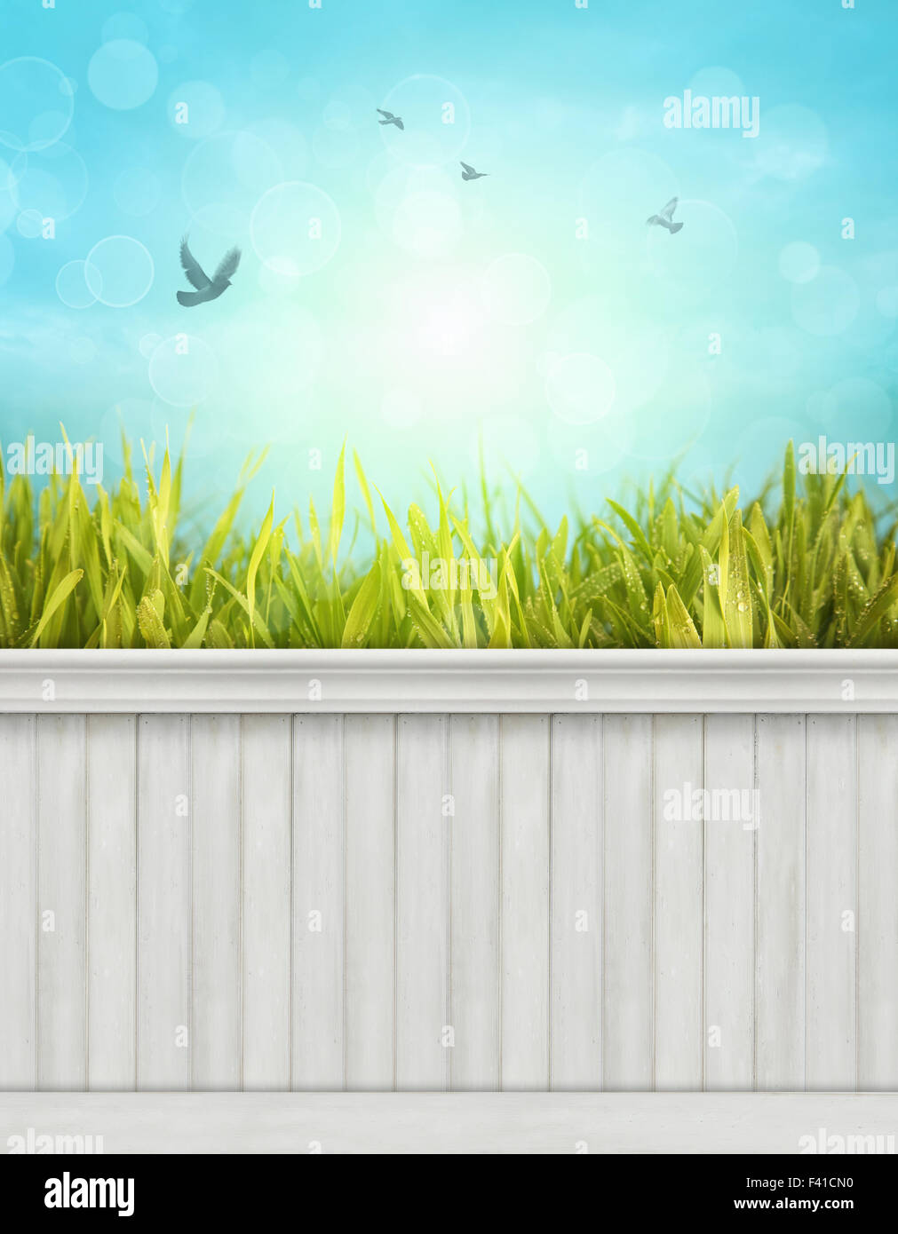 Spring wall background/backdrop Stock Photo