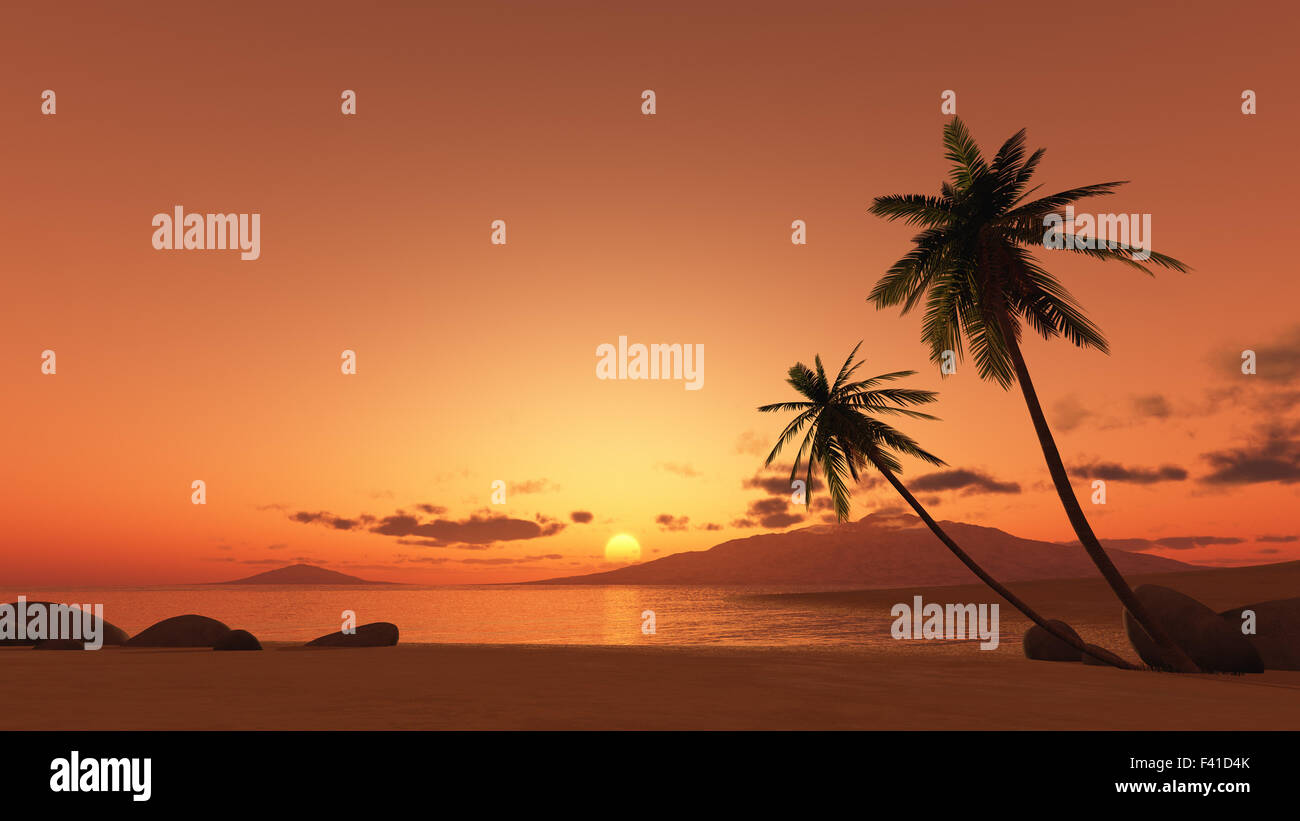 sunset palm tree Stock Photo - Alamy