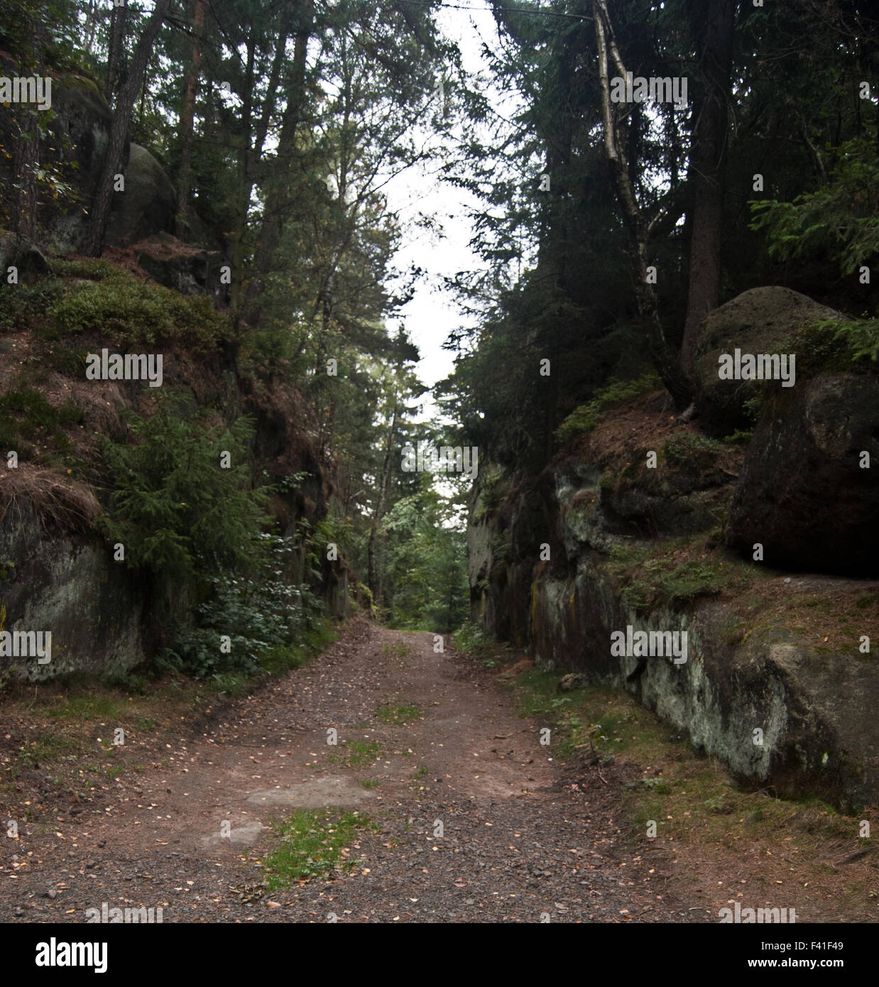 Katzenkberge rock formation above Kurort Oybin in Zittauer Gebirge mountains in Saxony Stock Photo