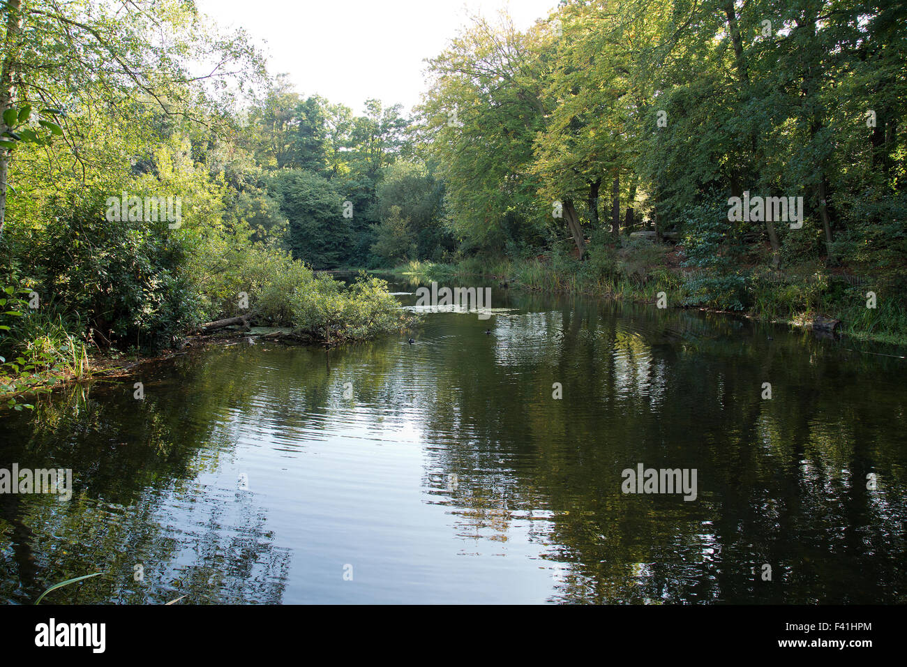 Autumnal scene at Keston Ponds in the village of Keston in Bromley Kent UK Stock Photo