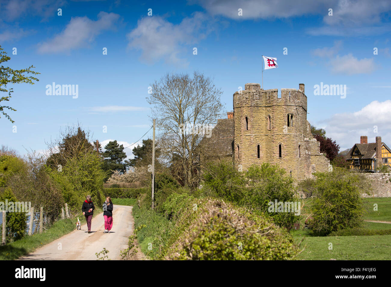 UK, England, Shropshire, Craven Arms, women walking dog along lane beside Stokesay Castle Stock Photo