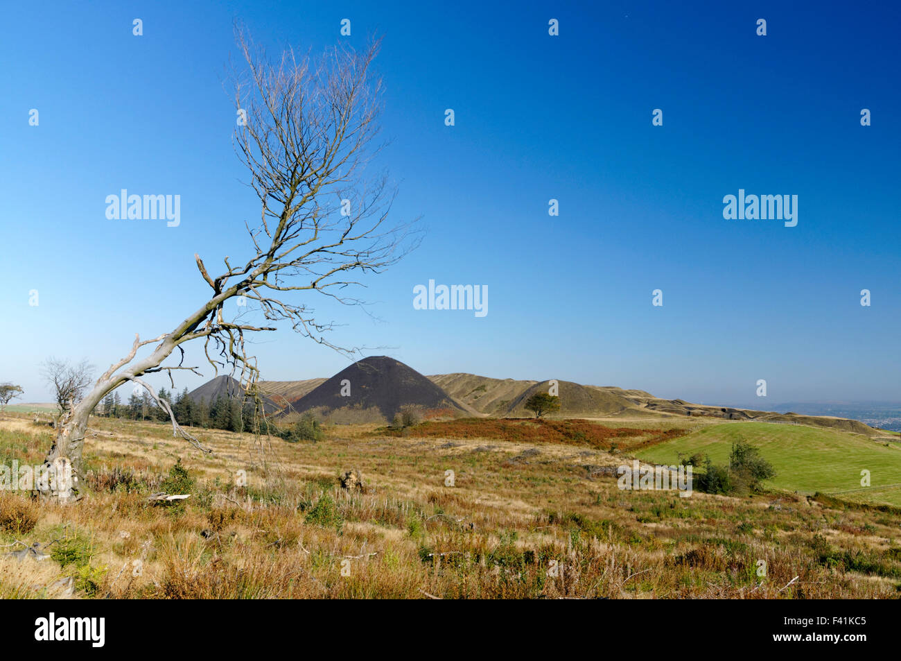 Colliery tips from the Llanbradach Colliery, Rhymney Valley near