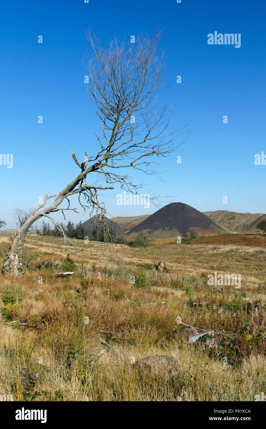 Colliery tips from the Llanbradach Colliery, Rhymney Valley near
