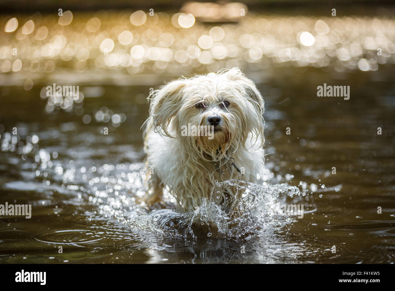 Water szene Stock Photo