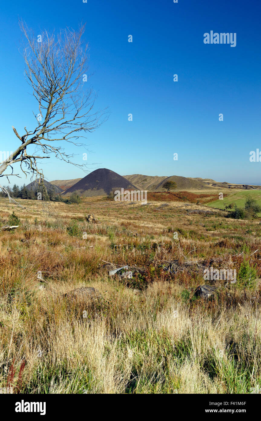 Colliery tips from the Llanbradach Colliery, Rhymney Valley near