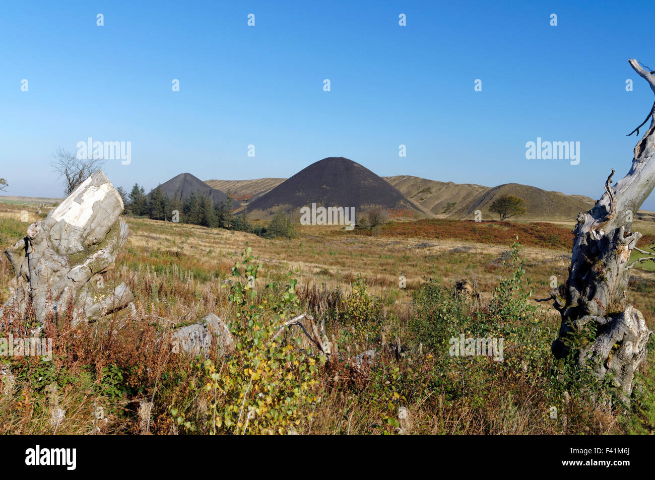 Colliery tips from the Llanbradach Colliery, Rhymney Valley near
