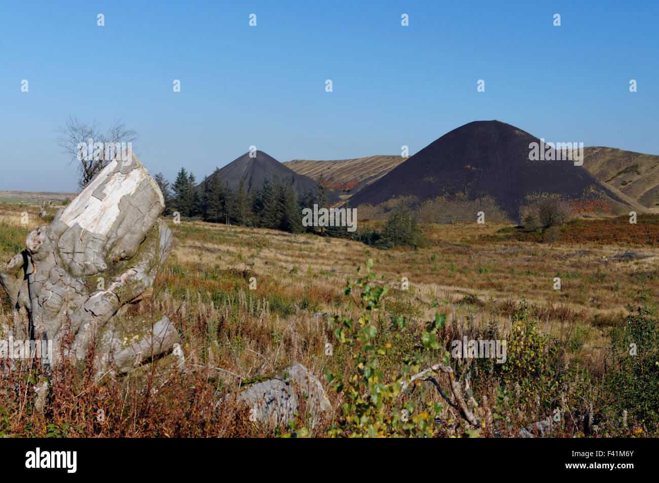 Colliery tips from the Llanbradach Colliery, Rhymney Valley near