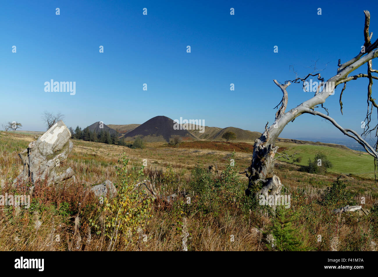 Colliery tips from the Llanbradach Colliery, Rhymney Valley near