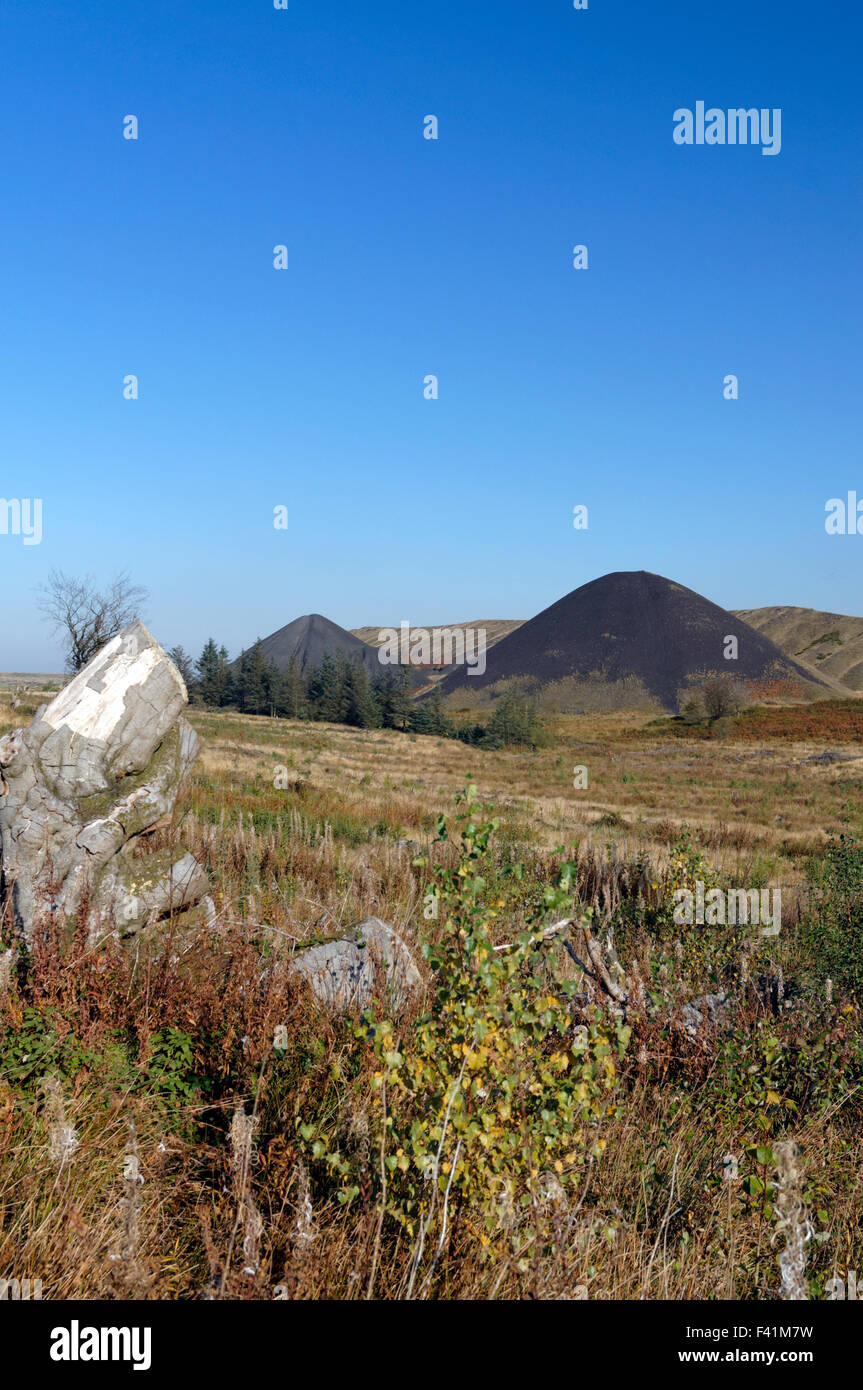 Colliery tips from the Llanbradach Colliery, Rhymney Valley near