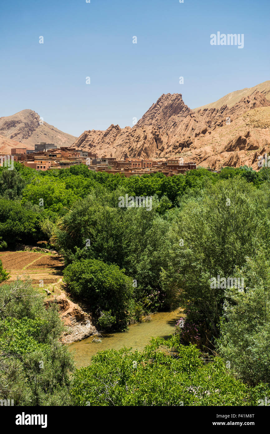 Oasis in Dades Gorge, Dades Valley, Boumalne-du-Dades behind, Morocco Stock Photo