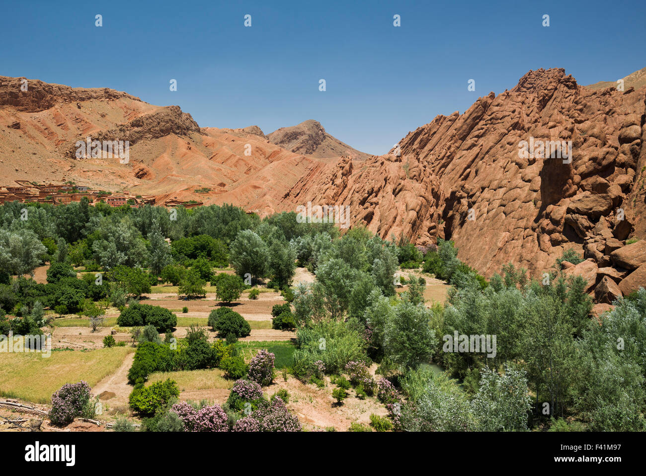 Oasis in Dades Gorge, Dades Valley, Boumalne-du-Dades, Morocco Stock Photo