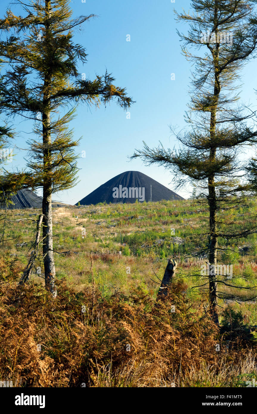 Colliery tips from the Llanbradach Colliery, Rhymney Valley near