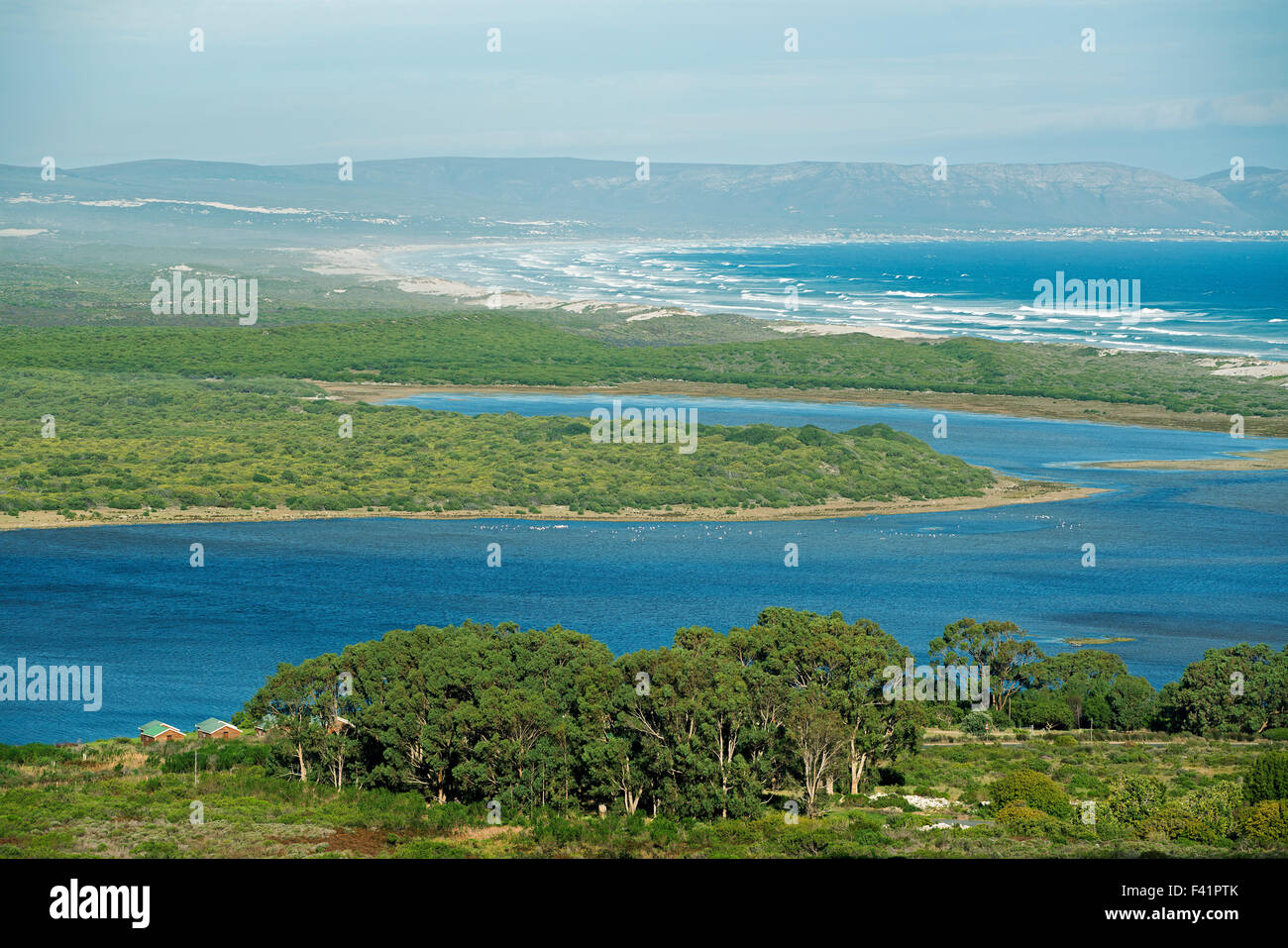 View of Walker Bay Nature Reserve near Hermanus, Garden Route, Western