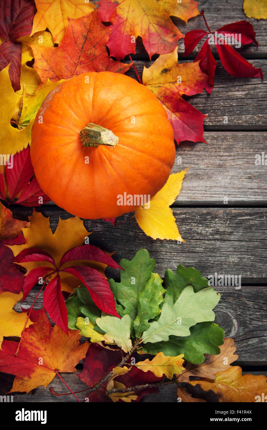 Pumpkin on old wooden background Stock Photo - Alamy