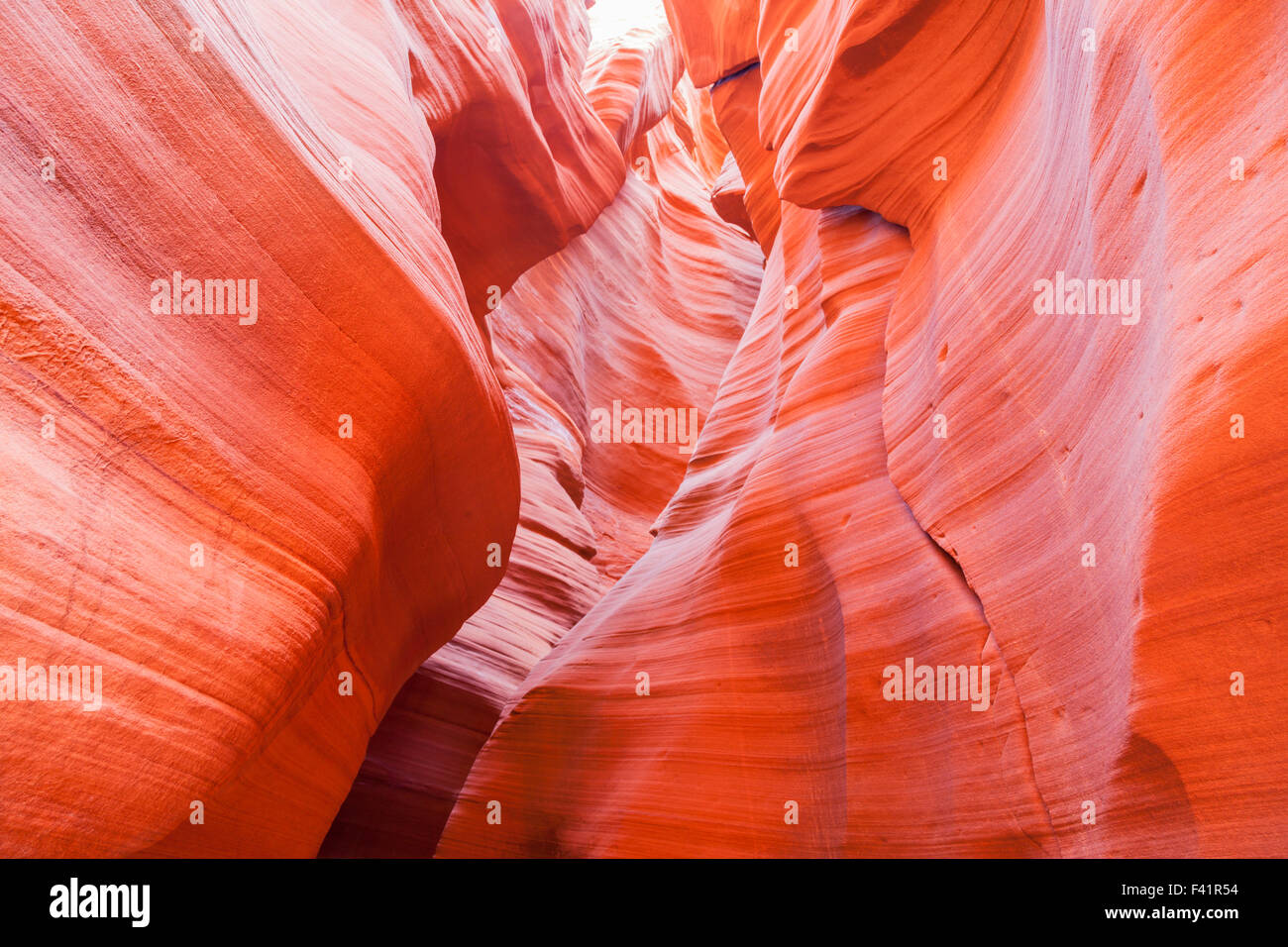 Bright orange sandstone walls in Antelope Canyon Arizona that have been eroded to a smooth surface. Stock Photo