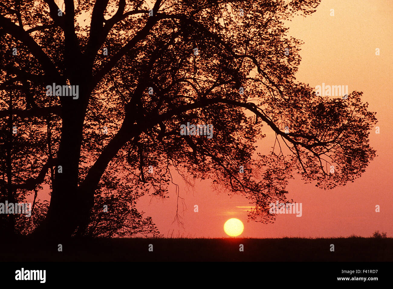 sundown; sunrise; sunup; Germany Stock Photo