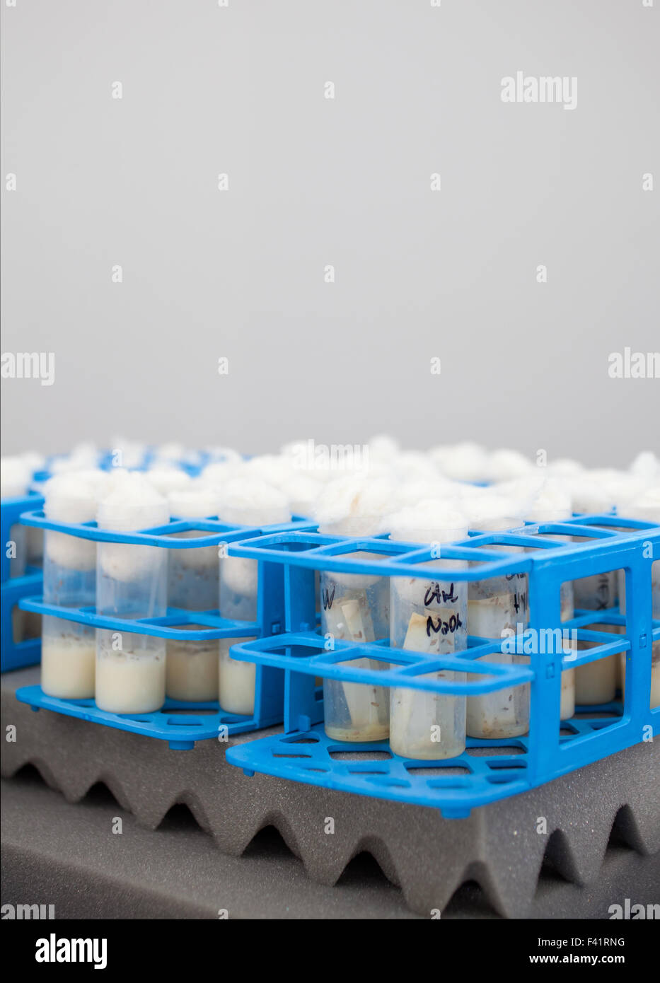 Doctor laboratory tubes hi-res stock photography and images - Alamy