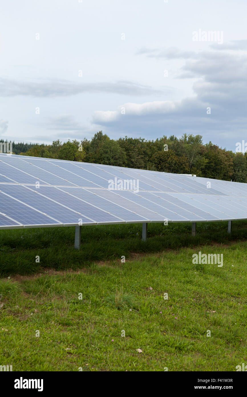 Field with blue siliciom solar cells alternative energy to collect sun energy Stock Photo