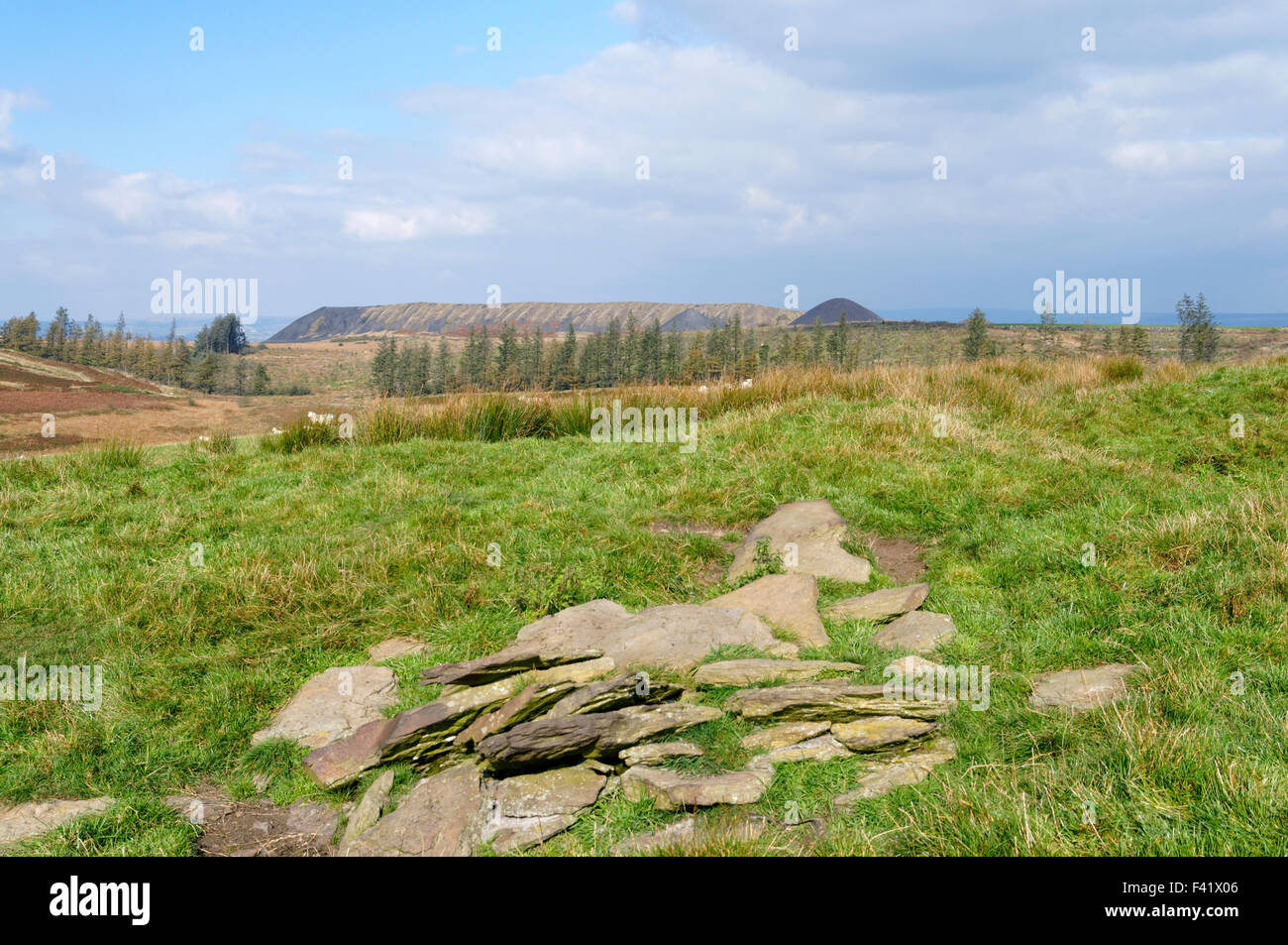 Colliery tips from the Llanbradach Colliery, Rhymney Valley near