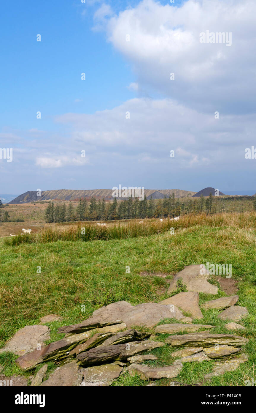Colliery tips from the Llanbradach Colliery, Rhymney Valley near